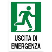 CARTELLO 30X20 USCITA EMERGE DX1821