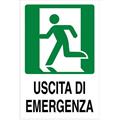 CARTELLO 30X20 USCITA EMERGE SX1822