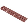 CERNIERE NASTRO BRONZATO 32X0.7 MT 2