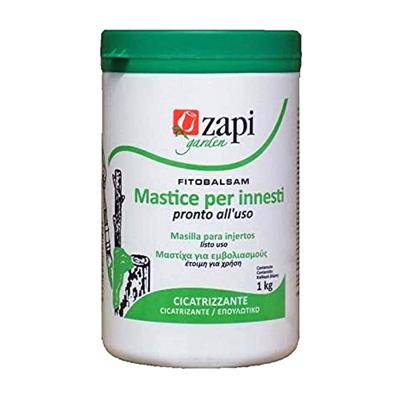 ZAPI 312550 MASTICE INNESTI VASO GR.200