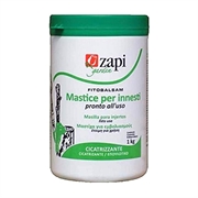 ZAPI 312550 MASTICE INNESTI VASO GR.200