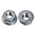 DADO 69238 ESAG CON FLANGIA DENT M.6