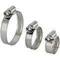 FASCETTA FM-CLAMPEX INOX MM 12 D.40-60