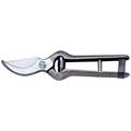 FORBICE ANGELO B. VIGNA CUOIO CM.25