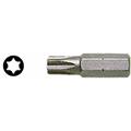 INSERTO TORX TX 0253.070 7X25