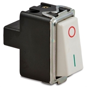 INTERRUTTORE 16004 BIPOLARE 16AX 250VAC