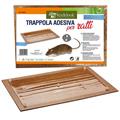 TAVOLETTA RATTI 19X28 2PZ. 510/14 106371