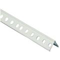 PARASPIGOLO PAP26-02 FORATO 2,5 MT