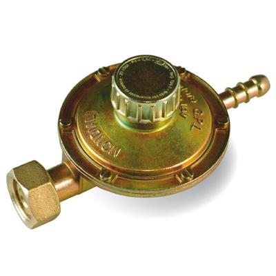 REGOLATORE 202TS I200 VARIABILE 1 KG.