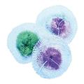 RETICELLA I310  RICAMBIO LUME 3 PZ 100 W