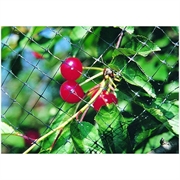 RETE DIFENGREEN ANTIUCCELLI MT 4X10