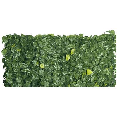 SEMPREVERDE EDERA FOGLIE MT.1X3