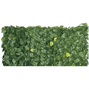 SEMPREVERDE EDERA FOGLIE MT.1X3