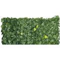SEMPREVERDE EDERA FOGLIE MT.1X3