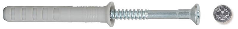 TASS.FISCHER 50346 C/VITE N 10X100