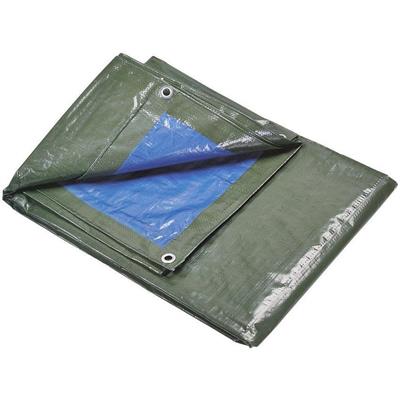 TELONE SPALMATO PVC 8X12 CON OCCHIOLI