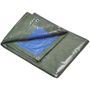 TELONE SPALMATO PVC 8X12 CON OCCHIOLI