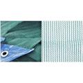 RETE OLIVE 6X12 VERDE OCCHIELLATA